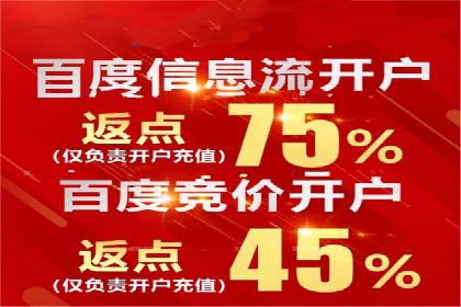 竞价推广案例：小投入大回报的成功之道